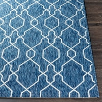 Артистични тъкачи Вивендел 5 ' 7 ' синьо и бяло ориенталски открит килим